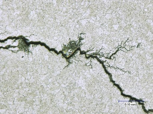 Branched crack with “lightning bolt” appearance may indicate stress corrosion cracking.